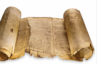 The Dead Sea Scrolls Discovery -- New Perspectives