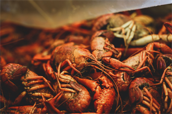 Louisiana Cuisine, Series 4 - Seafood & Game: Crawfish Boil #2