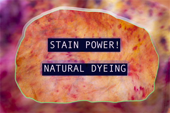 Stain Power: Natural Dyeing (Ages 12-14)