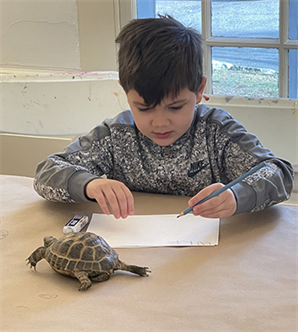 Vacation Workshop: Sketch, Draw, Paint, Create! LIVE Animals as models
