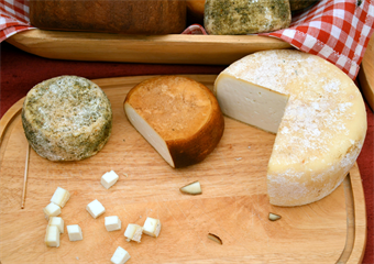 The History of Cheese and the Development of American Artisinal Cheeses