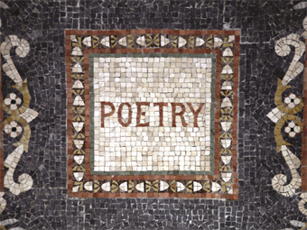 Poems From the 20th Year of  Seven Centuries