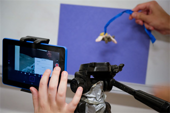 Stop Motion Animation  (Ages 15–18)- NEW!