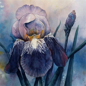 Joy of Watercolor- Iris