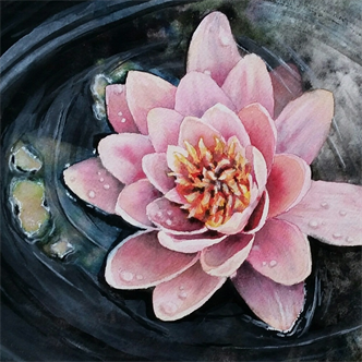 Joy of Watercolor- Water Lily