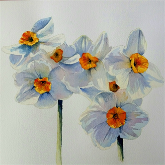 Joyfully Painting In  Watercolor- Daffodils