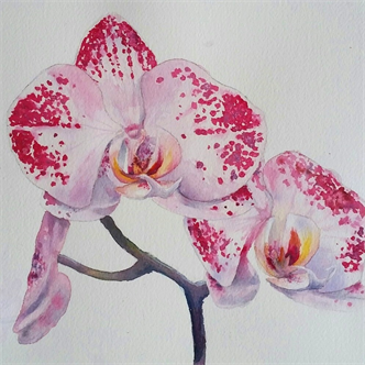 Joyfully Painting in Watercolor- Orchid