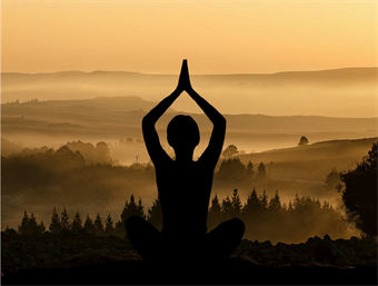 An Introduction to <i>Svaroopa®</i> Vidya Meditation