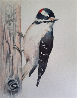 Joyfully Painting in Watercolor- Woodpecker
