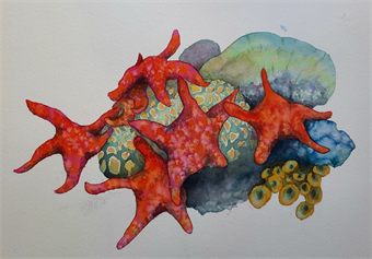 Joyfully Painting in Watercolor- Sea Life