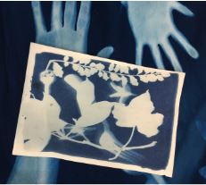 ONSITE: Cyanotypes: Creating Photographic Art with Light (Ages 9-11)