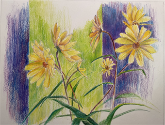 Drawing with Colored Pencil (Ages 12-14)