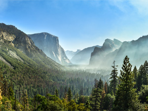 Olmsted & Yosemite: Civil War & National Parks (In-person)