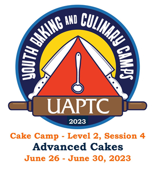 Youth Cake Camp - Level 2 - Session 4: Advanced Cakes